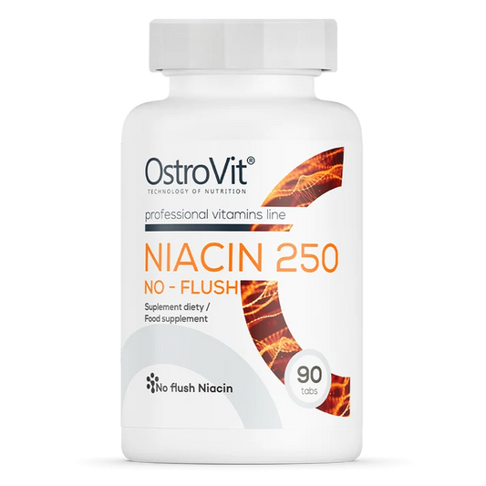 OstroVit Niacin 250 NO FLUSH 90 tablets